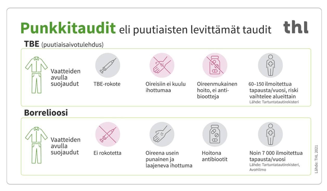 punkkitaudit thl